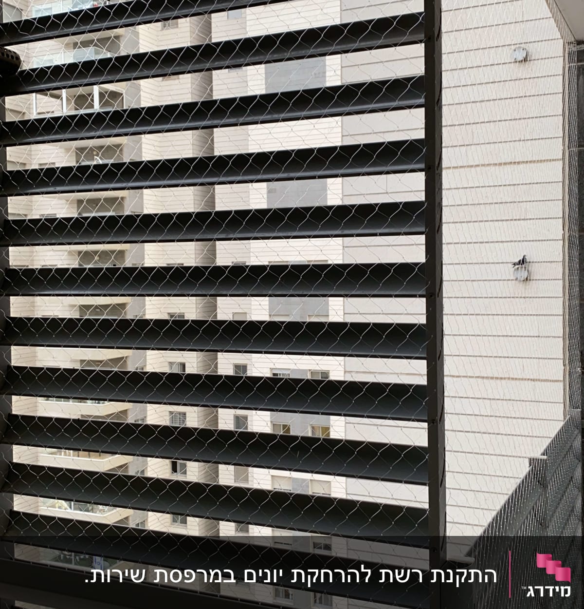 רשת מתכת מותקנת על חלון למניעת כניסת יונים